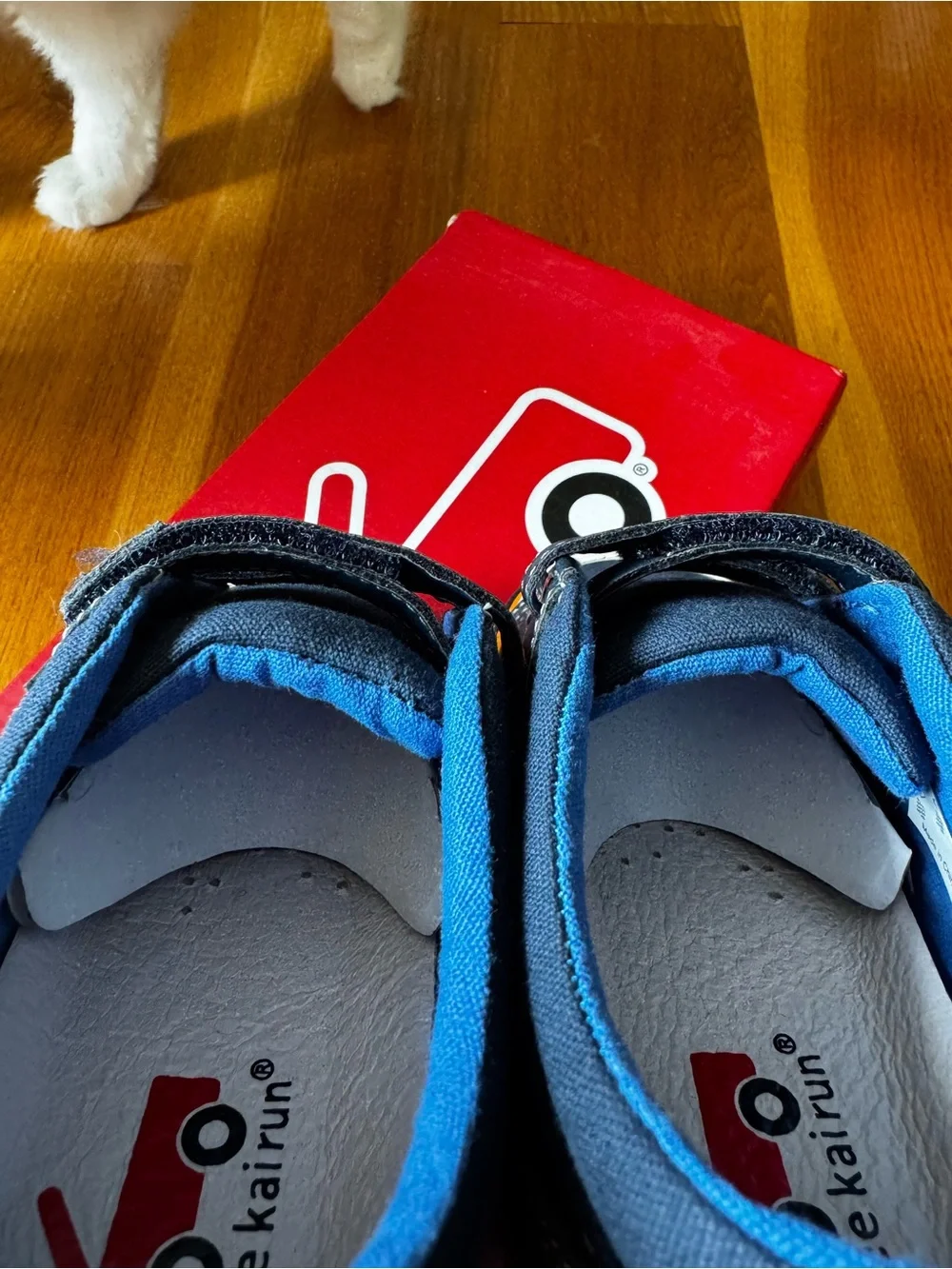 See Kai Run Navy Blue & Orange Velcro Strap Sneakers